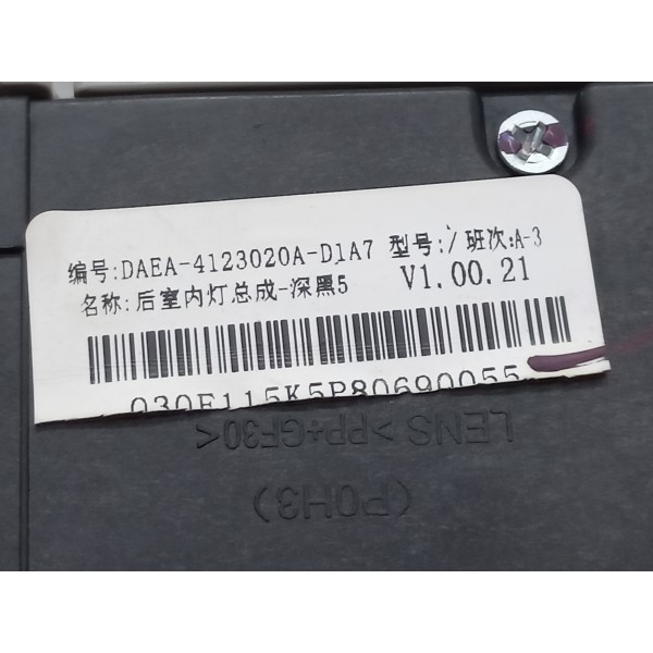 Luz Do Teto Traseiro Byd Dolphin Gs 180 Ev 2024 Usado