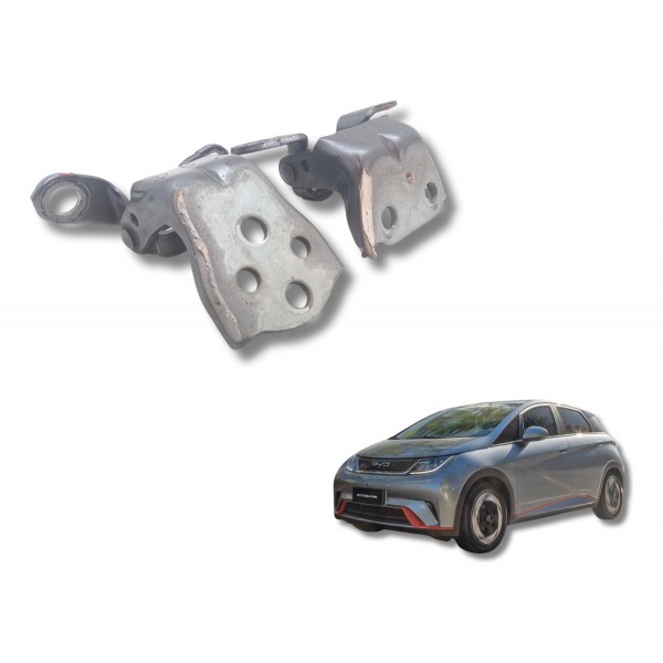 Dobradiça Porta Dianteira D. Byd Dolphin 180ev 2024 Usado