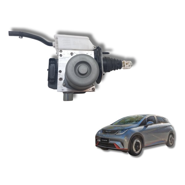 Modulo Central Byd Dolphin Gs 180ev 2024 Usado