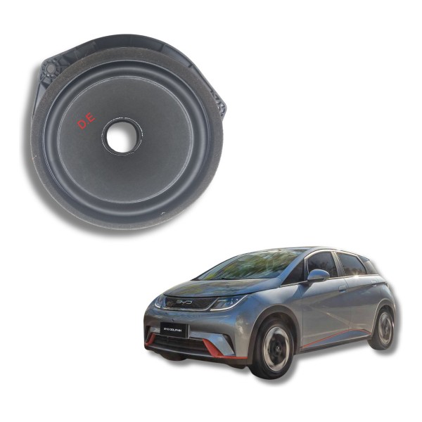 Alto Falante Dianteiro Esquerdo Byd Dolphin Gs 2024 Usado