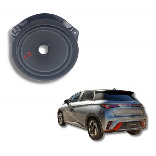 Alto Falante Traseiro Direito Byd Dolphin 180ev 2024 Usado